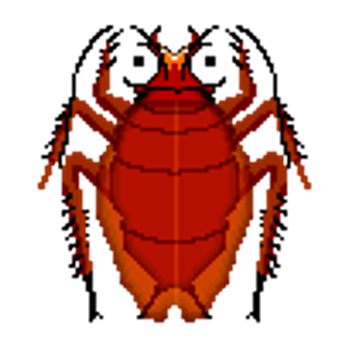 바퀴벌레